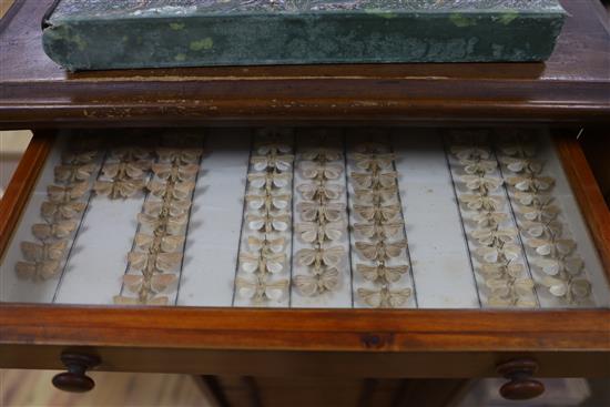 A Victorian mahogany and deal collector cabinet of moth specimens, by J.T Crockett & Son, W.52cm D.47cm H.135cm